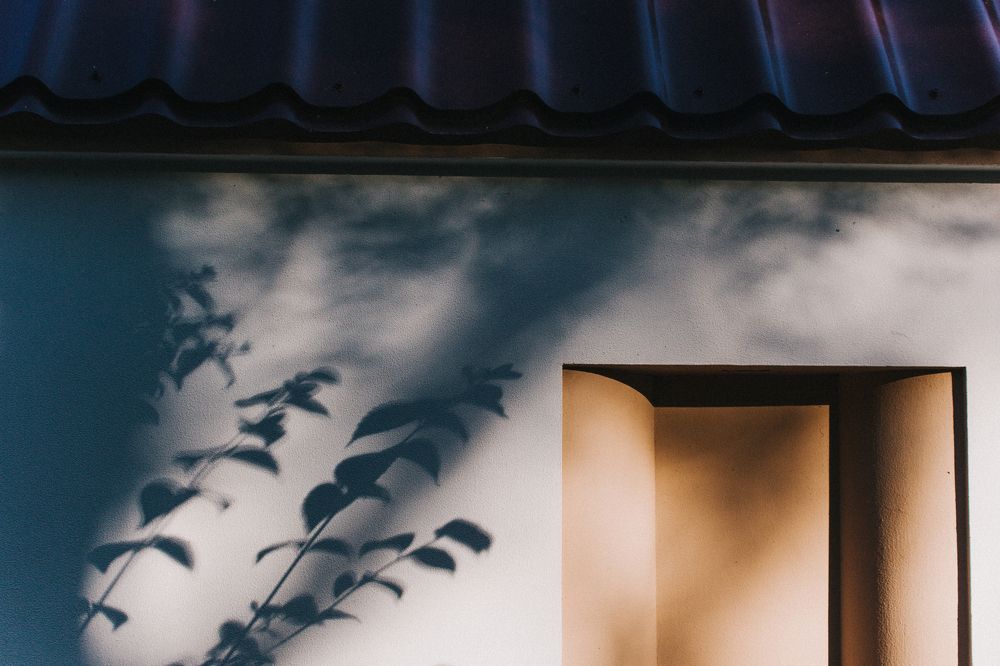 Photograph by Олеся Гейко