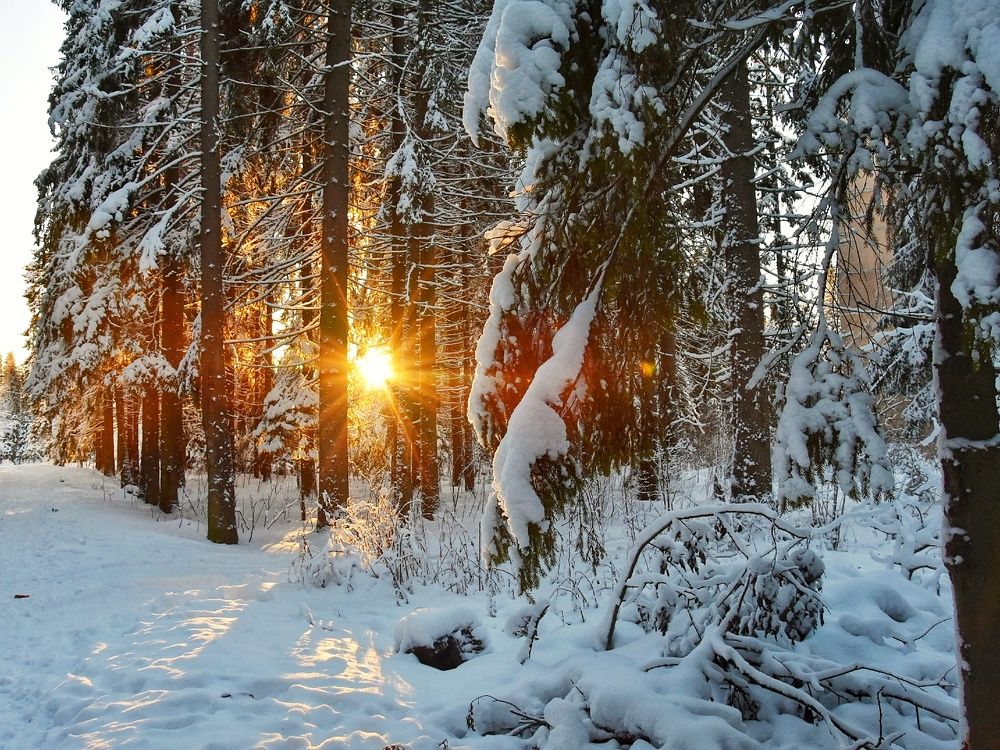 Карельская зима