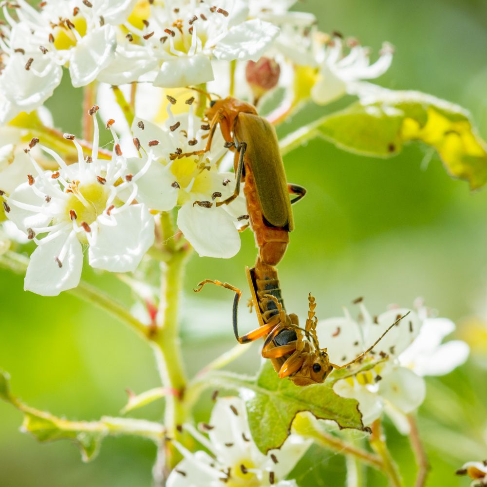 Photograph by Андрей Плужаров