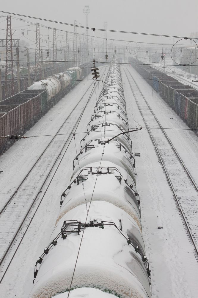 Снежный дракон.