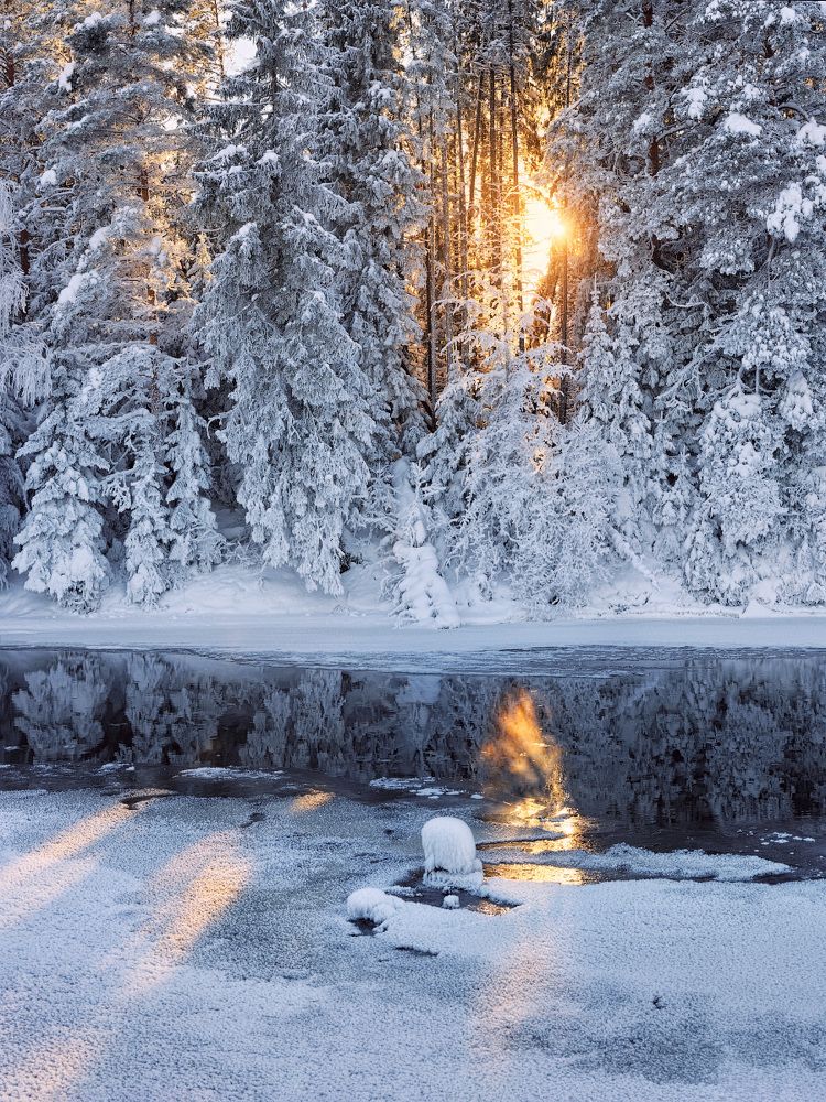 Солнечный костер