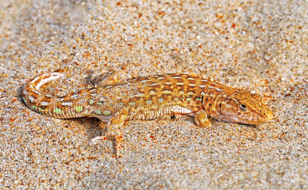 Photograph by Виталий Маслов