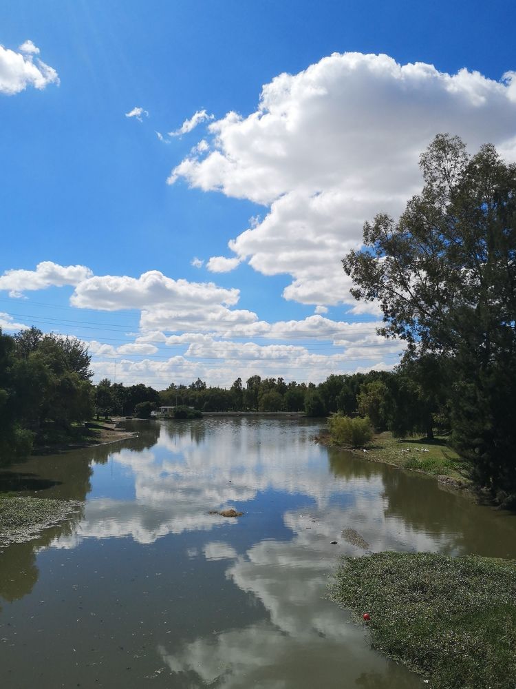 Reflejos diarios