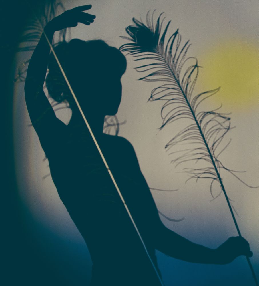 Тень  и перо павлина....