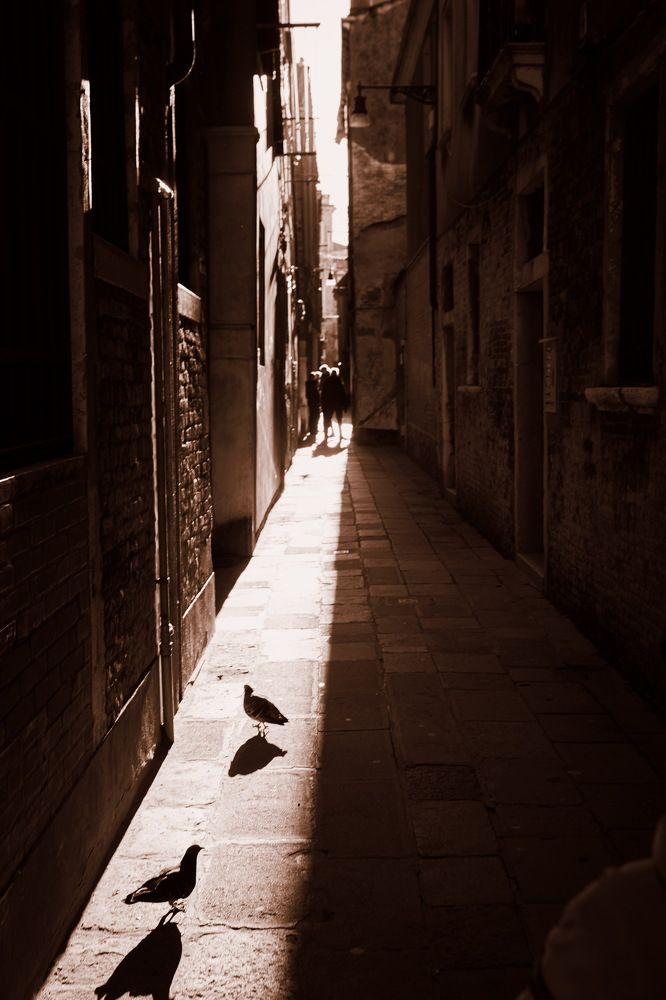 Случайная встреча