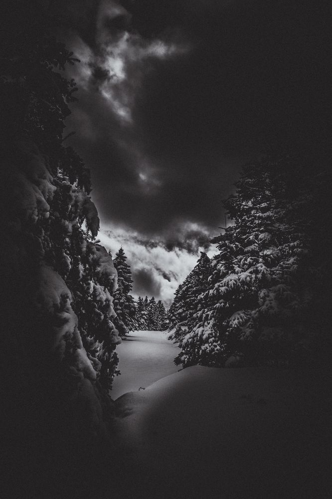 Just like a dream...