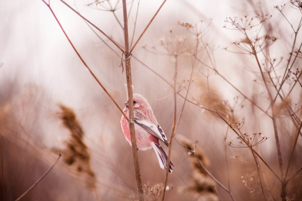 Игра в прятки