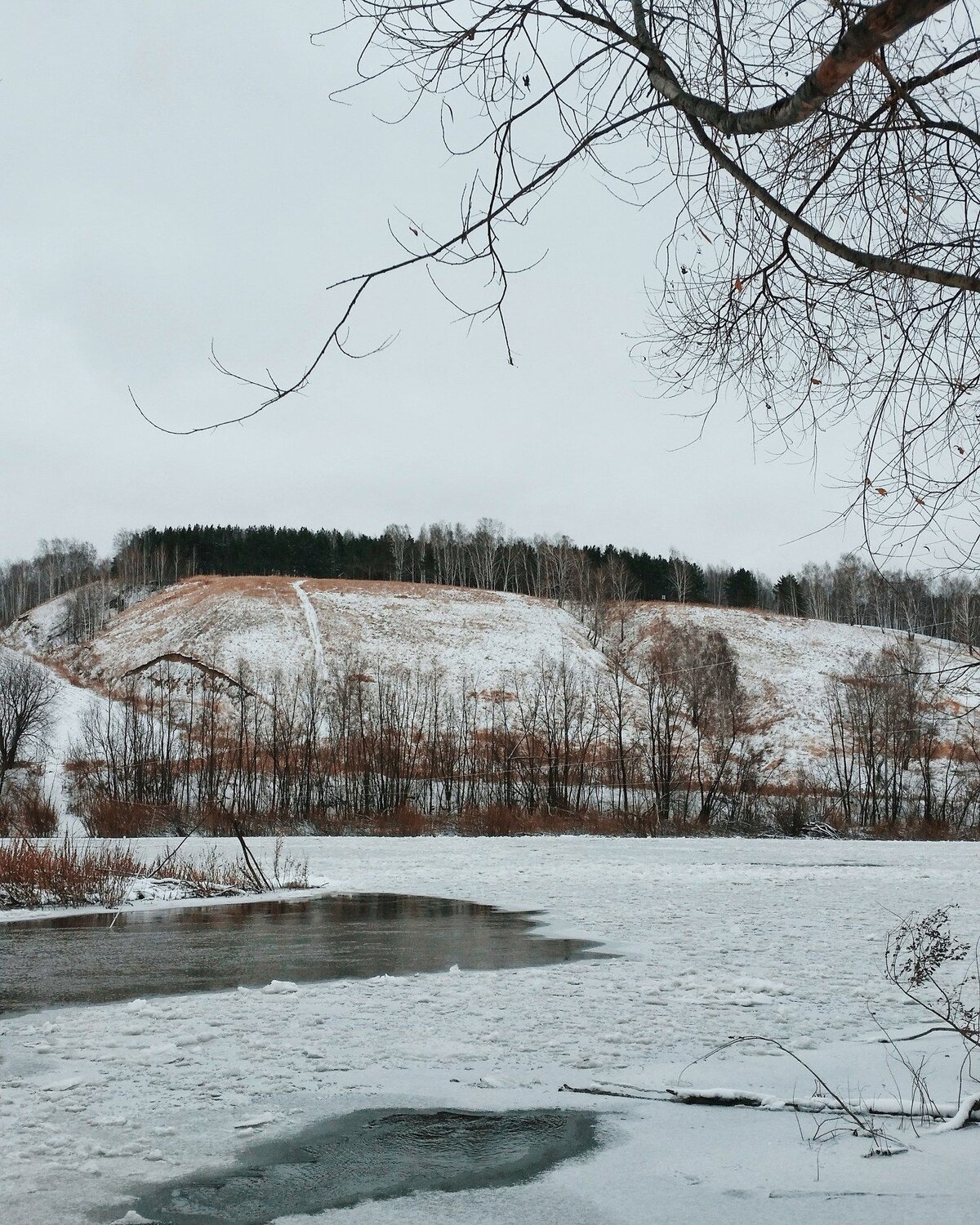 Сибирские холмы
