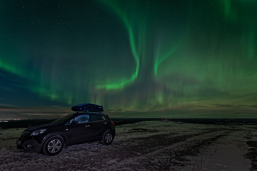 Нежданчик по дороге зимой