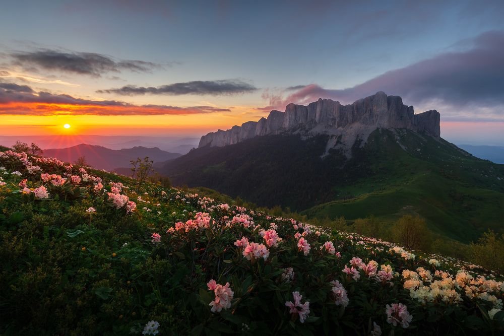 По небу солнце разливает краски