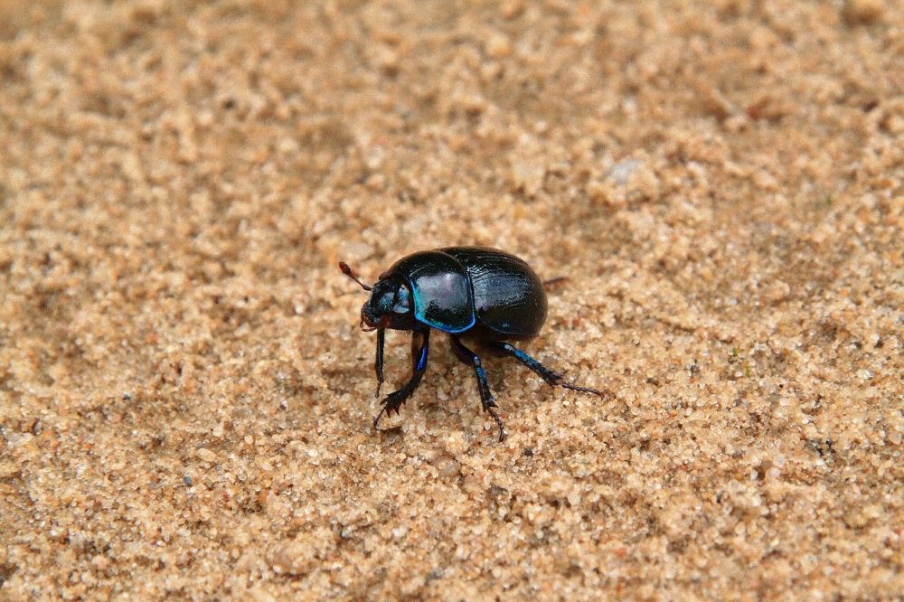 Прогулка по пляжу