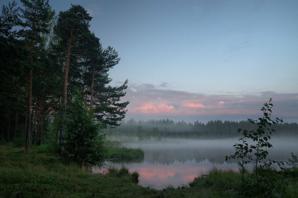 Про розовые облака
