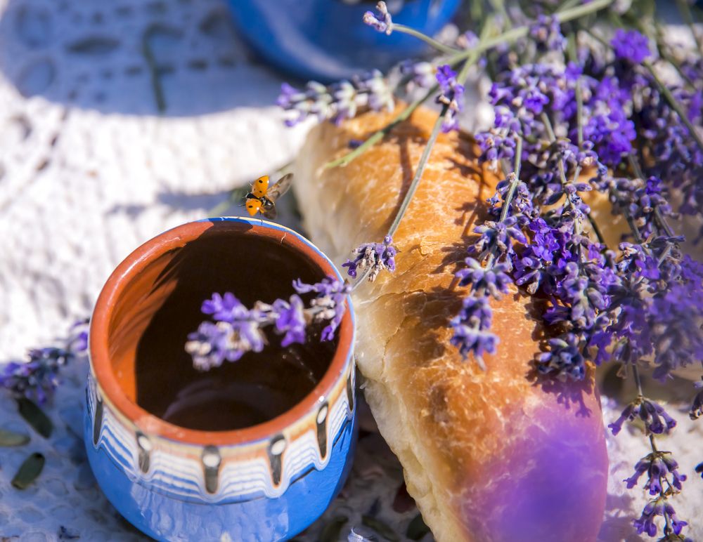 Божья коровка на пикнике