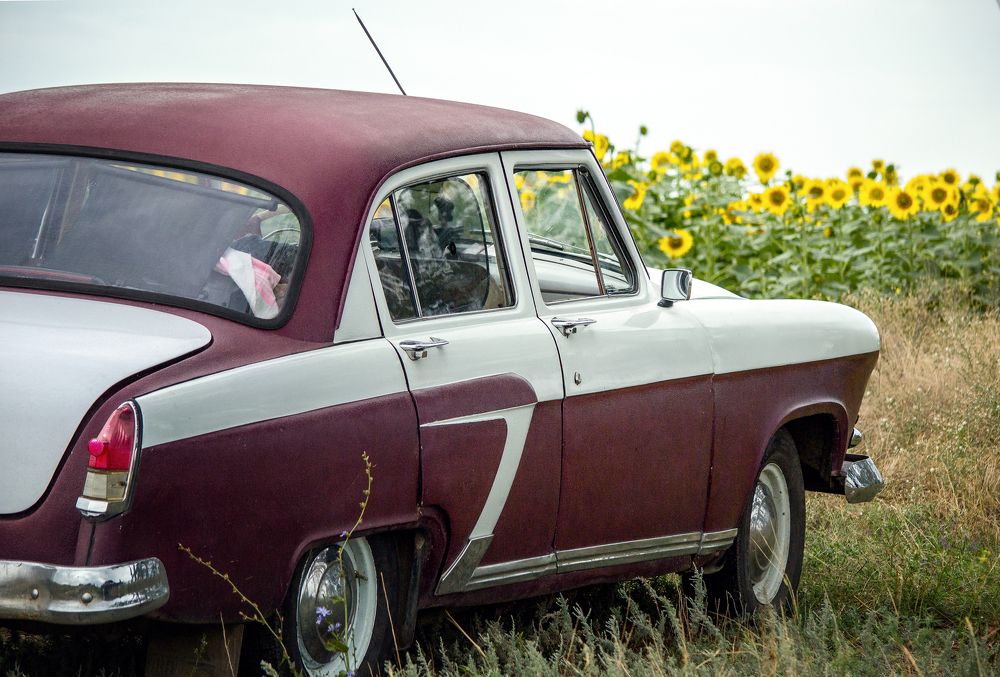 Photograph by Алексей хохлачёв