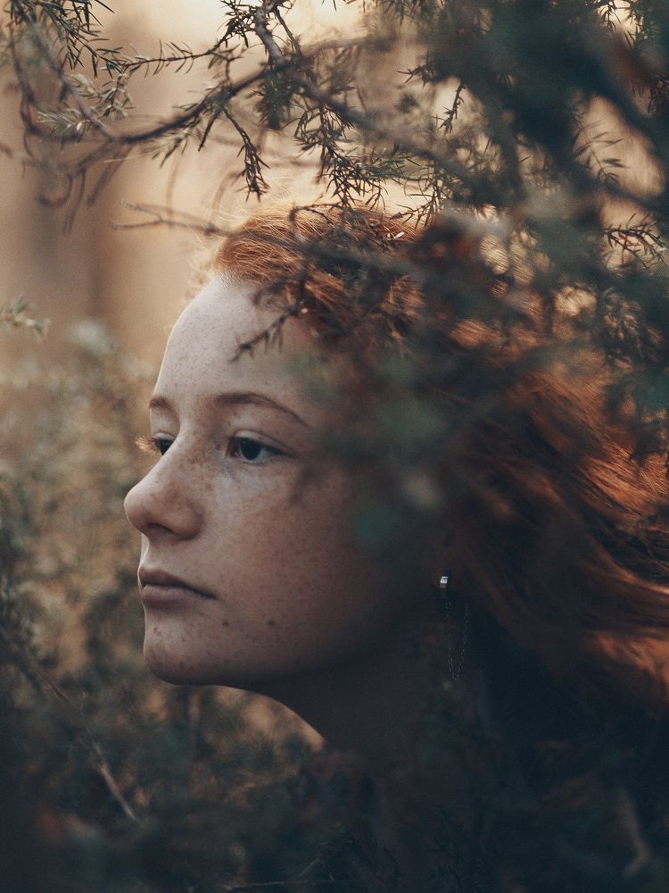 Photograph by 