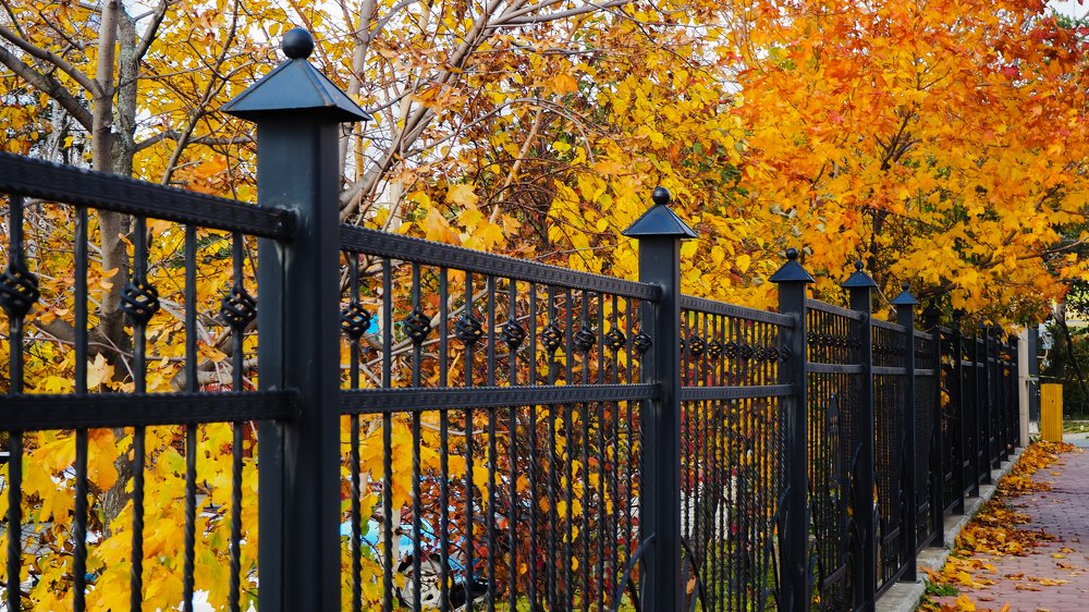 Осень в городе