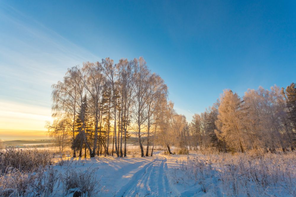 Photograph by Жданов Дмитрий