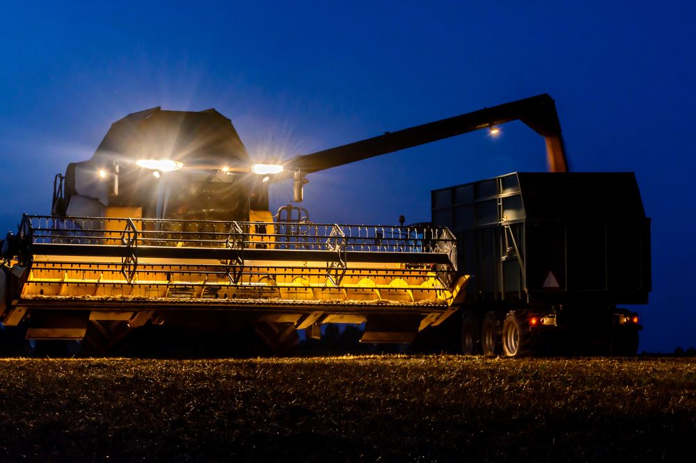 Photograph by Vitalijs