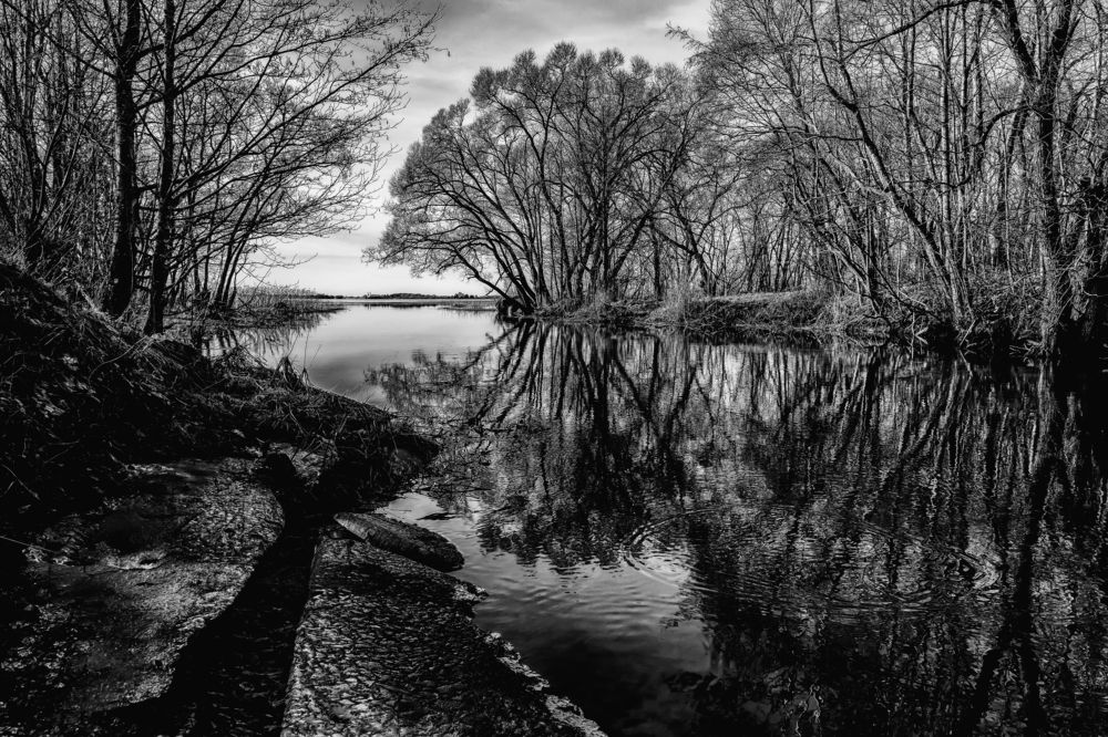 Photograph by Vitalijs