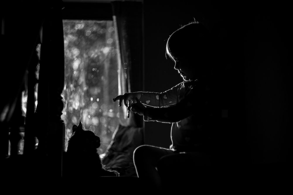 Увлеченные игрой.