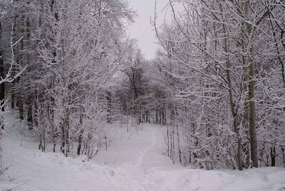 Зимняя сказка