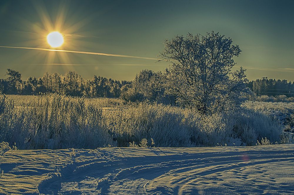 Мороз и солнце...