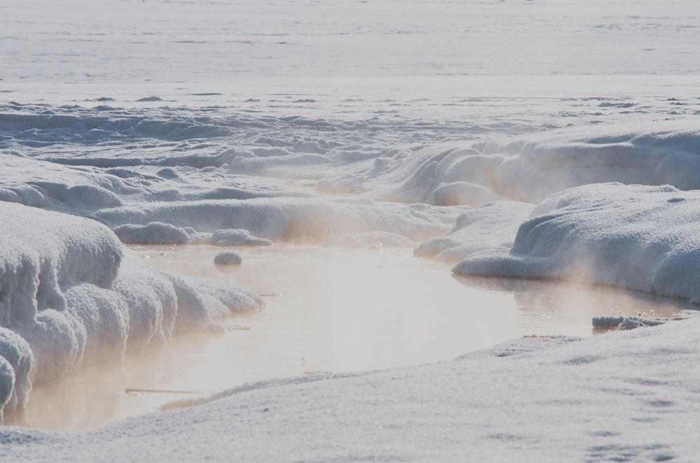 Photograph by Ольга Шибяева