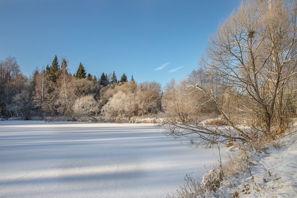 Солнечный день