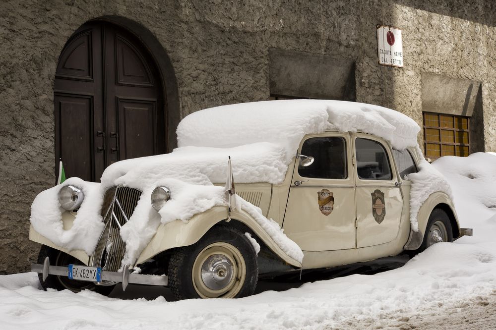 Заснеженный ветеран