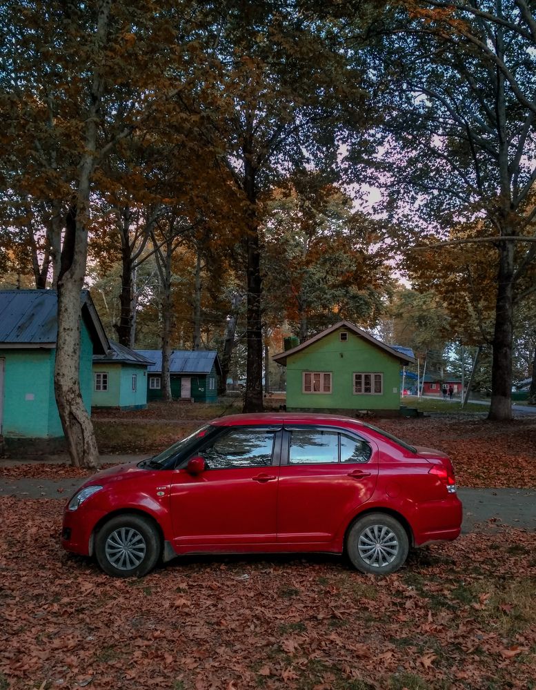 Under the shades of Chinar!