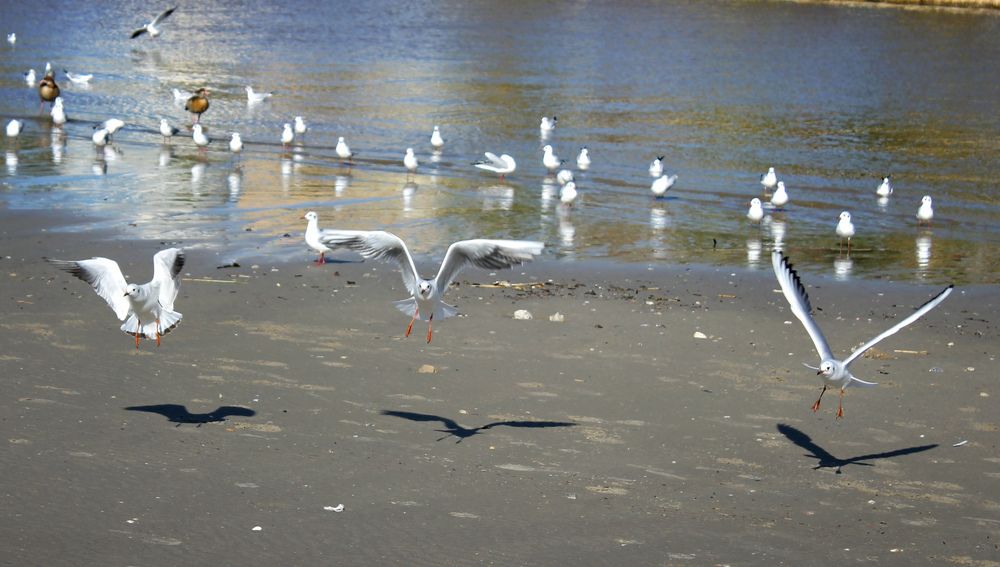 Photograph by Irina Radzinskaya