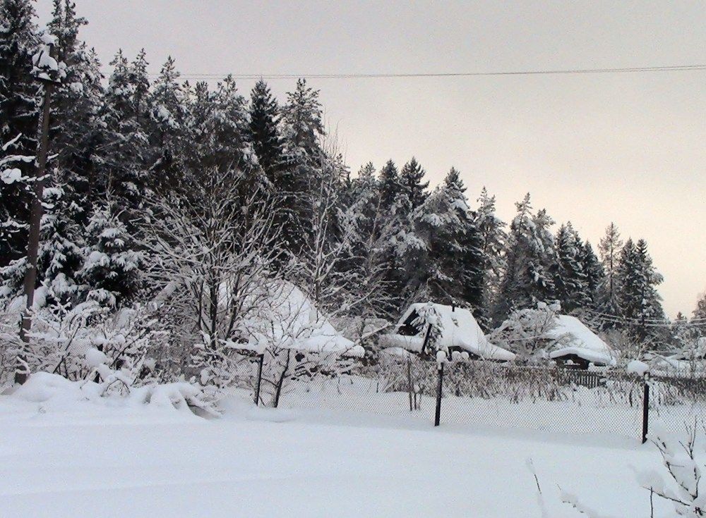 Зима в деревне.