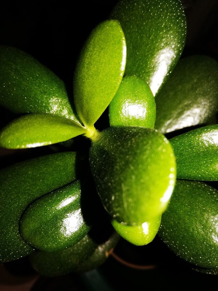 Photograph by Анастасия Клевакина