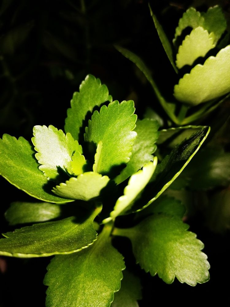 Photograph by Анастасия Клевакина