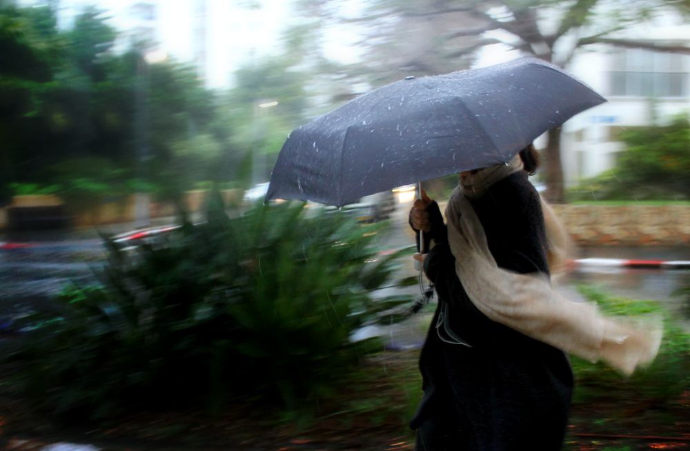 Photograph by Irina Radzinskaya