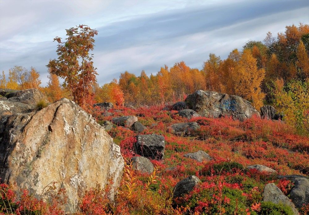 Осень в Заполярье.
