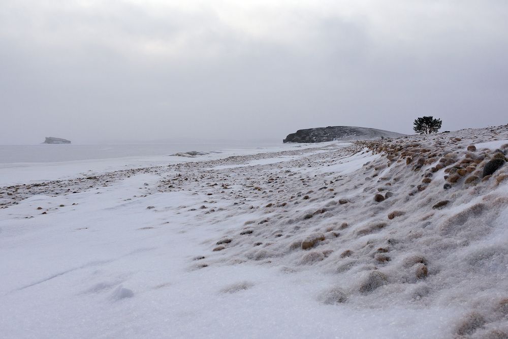 Мыс Уюга под пушистым снежным покрывалом