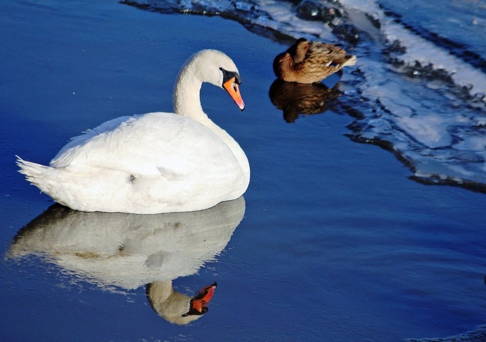 Толерантность...