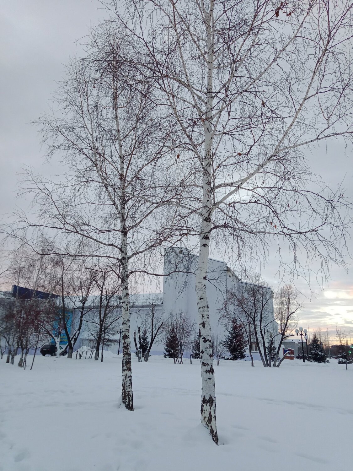Photo #2882881