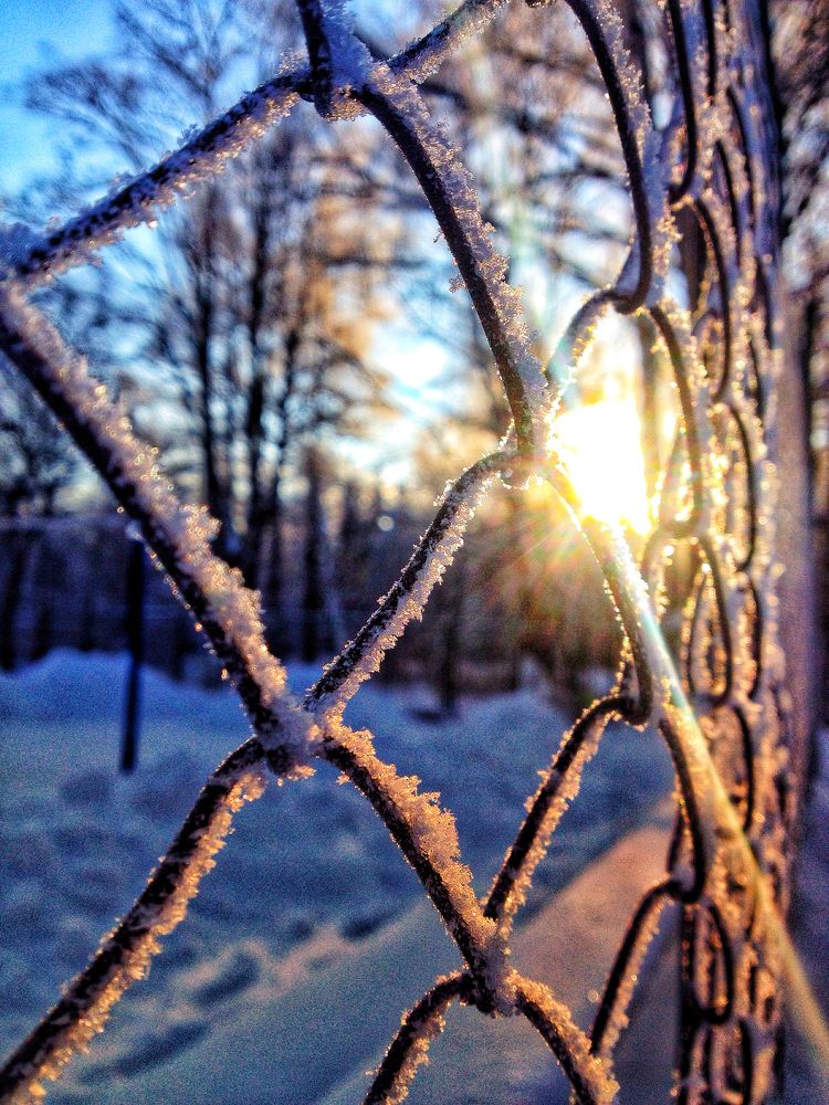 Photograph by София Гаязова