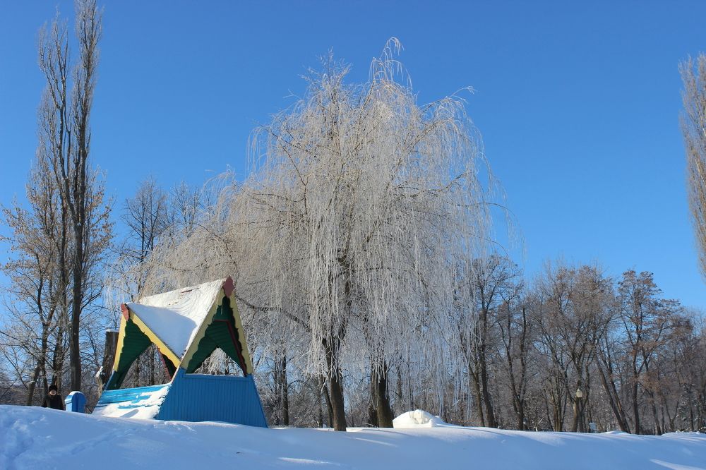 Красавица зима