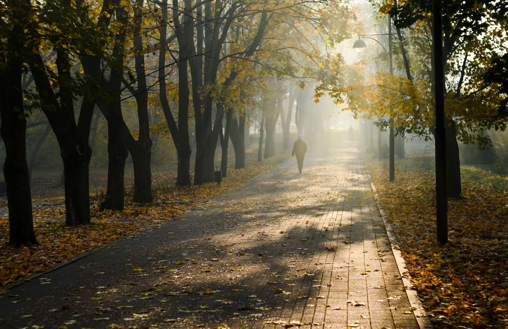 Туманный свет осени