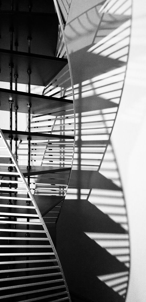 Тень стеллажа