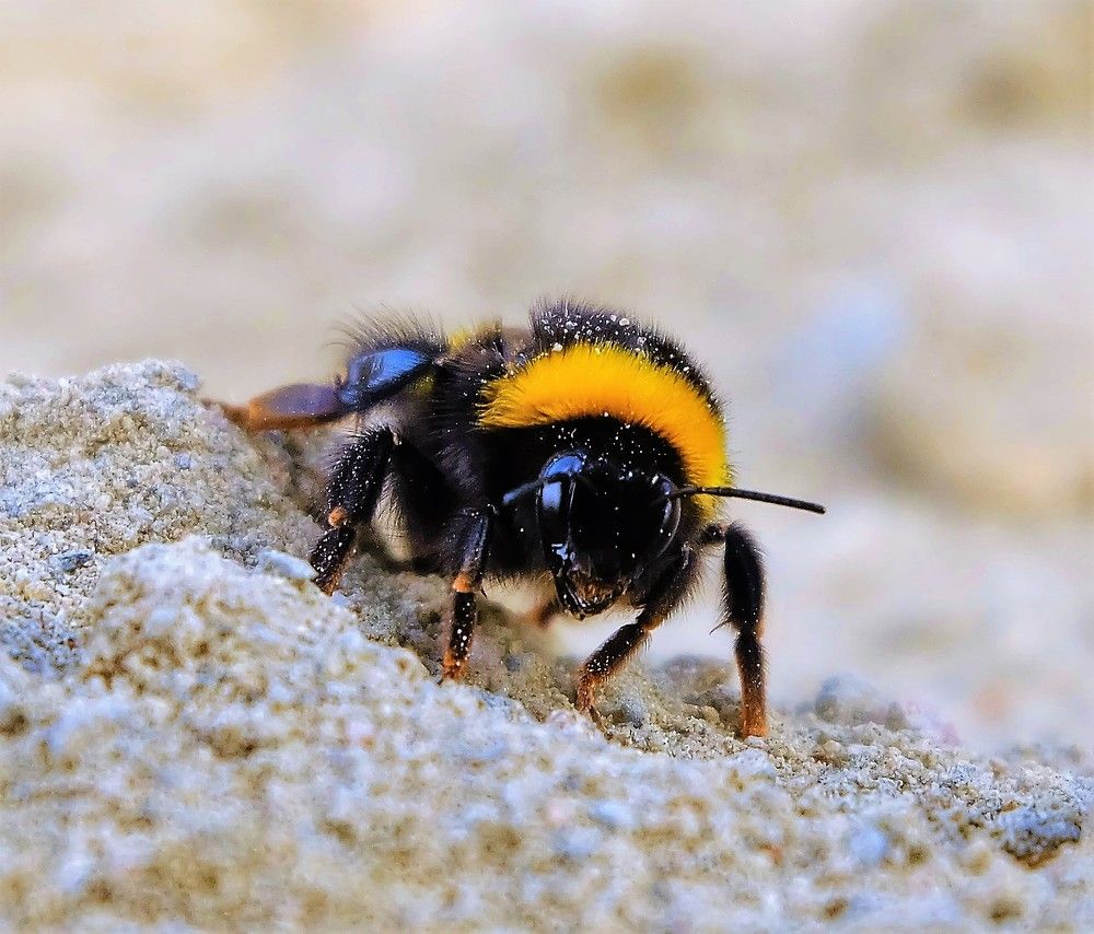 Где найти стоматолога?