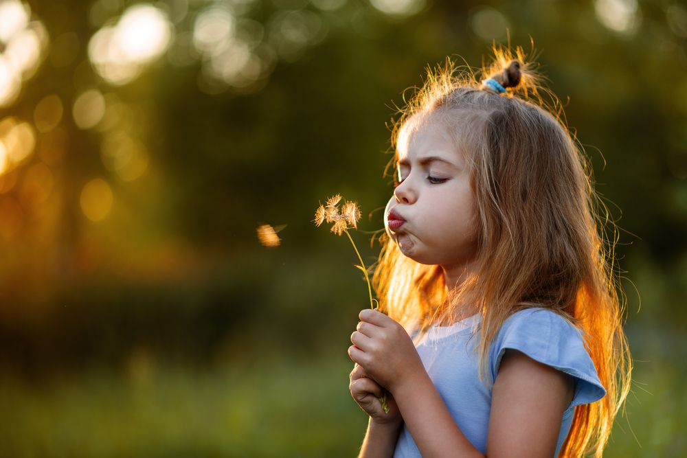 Вечерняя прогулка