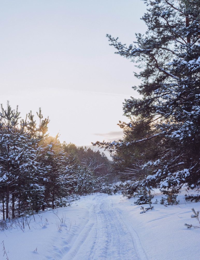 Photograph by Matvey