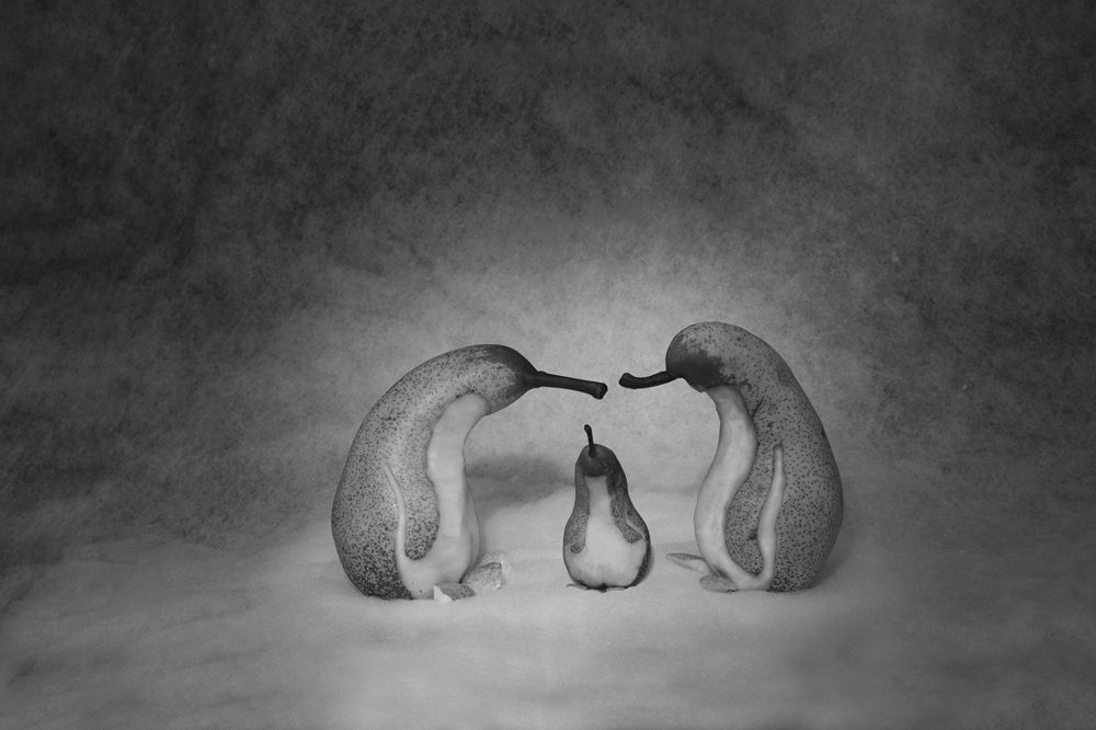 фото в семейный альбом