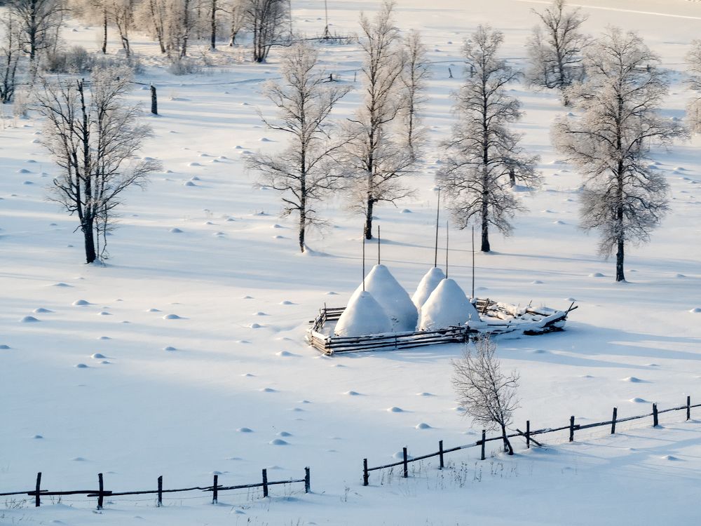 Мороженое на палочке