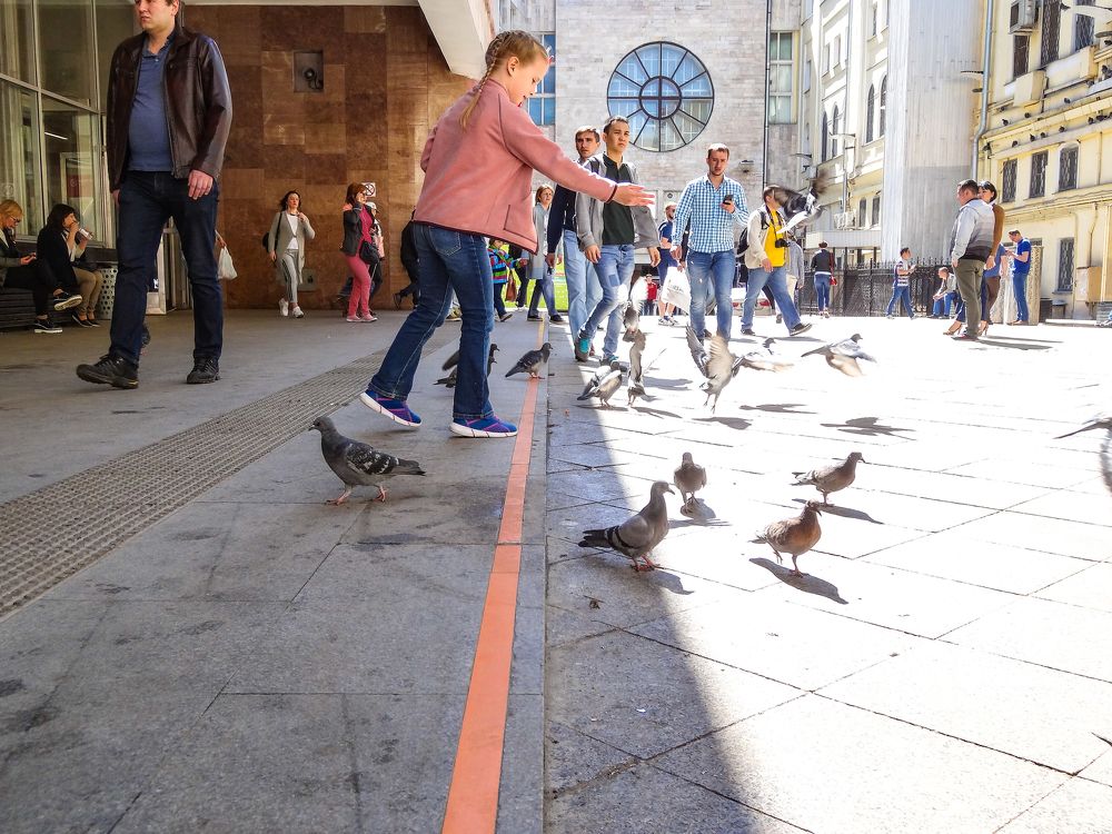 Темная и светлая сторона