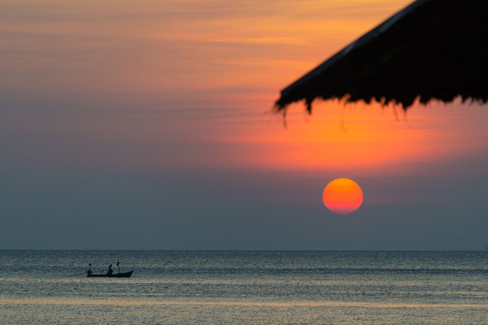 Возвращение домой